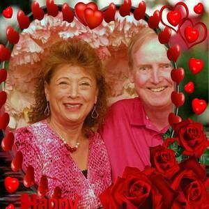 Meet your Posher, Ann